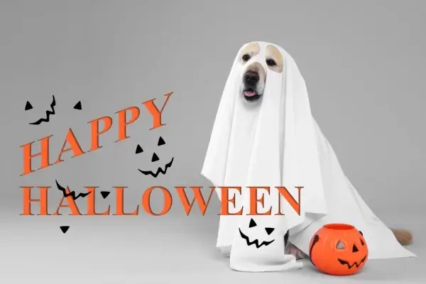 Happy Halloween from Best Interest Mortgage